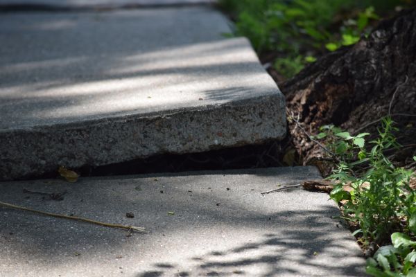 Cost of Sidewalk Leveling in Land O Lakes