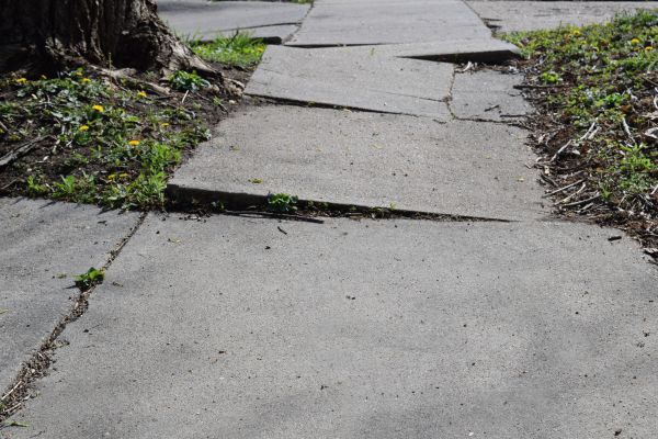 Cost of Sidewalk Raising in Land O Lakes