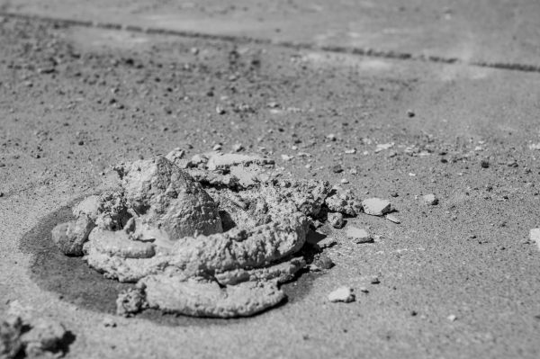 Cost of Concrete Slabjacking in Land O Lakes
